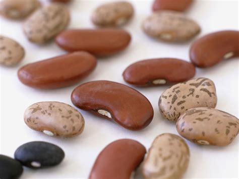 Dry Beans Expiration Date