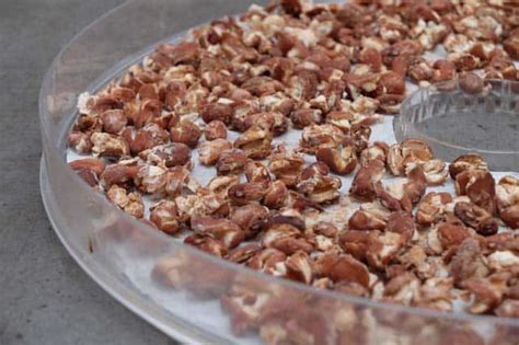 Dry Beans For Backpacking