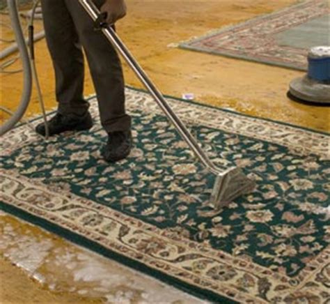 dry carpet cleaning rockville md