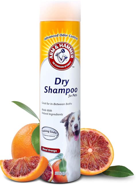 Dry Dog Shampoos