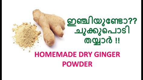 Dry Ginger In Malayalam