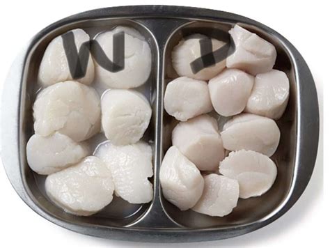 Dry Scallops Vs Wet