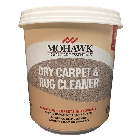 dry shampoo for area rugs