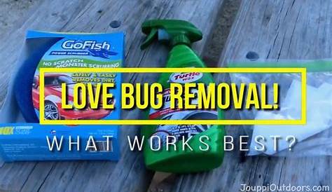 Dryer Sheets For Bug Removal