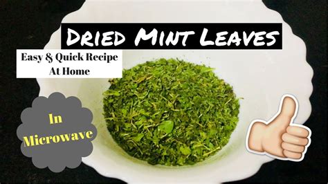 How To Dry Mint Leaves In Microwave Mint Leaves Powder Pudina