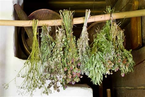 Drying Herbs And Spices