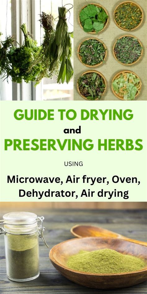 Drying Herbs Uk