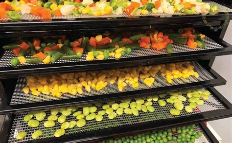 Drying The Vegetables