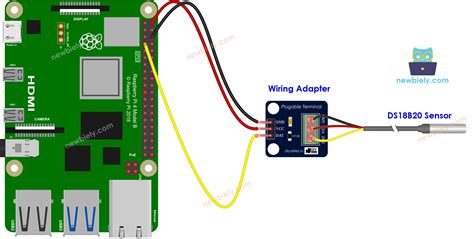 Ds18B20 Temperature Sensor Interfacing With Raspberry Pi
