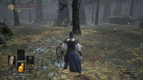Ds3 Swamp Walkthrough