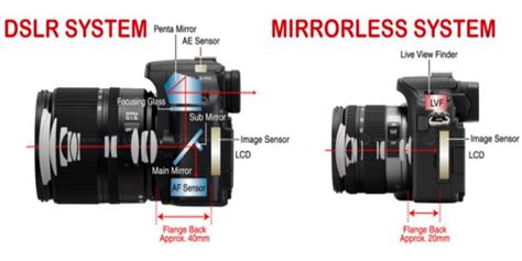DSLR vs Mirrorless Mirrorless vs dslr, Dslr, Sony digital camera