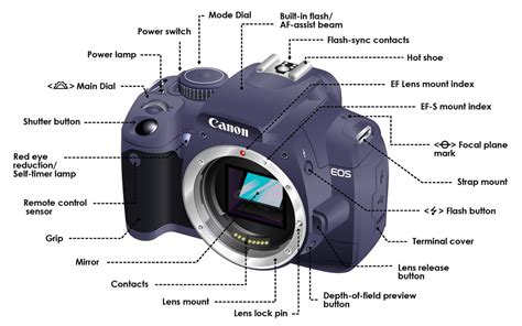 Dslr Features Explained