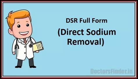 dsr full form in software