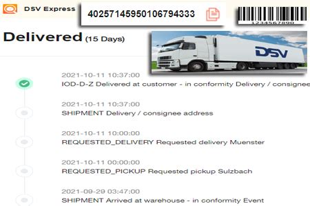 dsv tracking number example