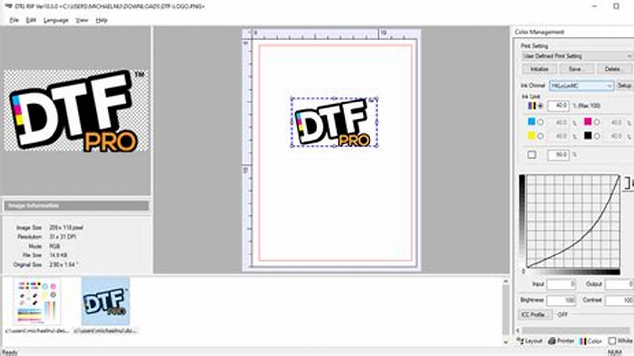 Unlock Pro-Quality DTF Transfers: A Guide to DTF RIP Software for Epson