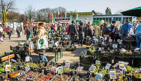 Gartenfestival und Pflanzenmarkt | Karsten Klimke Staudengärtnerei
