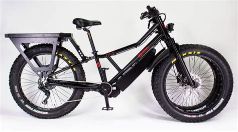 dual front wheel electric bike