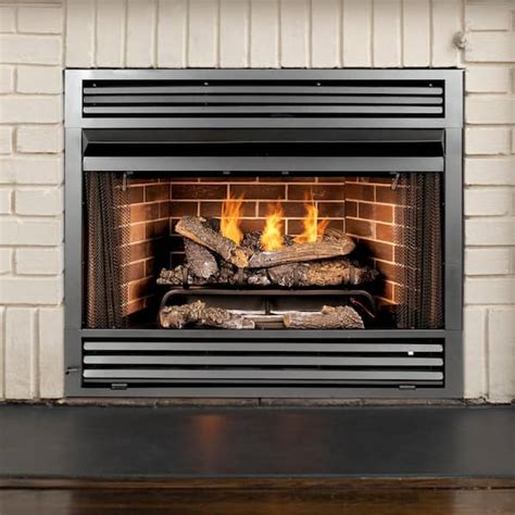 Dual Fuel Fireplace Insert Zero Clearance