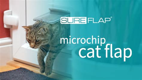 Dualscan Microchip Cat Flap Instructions