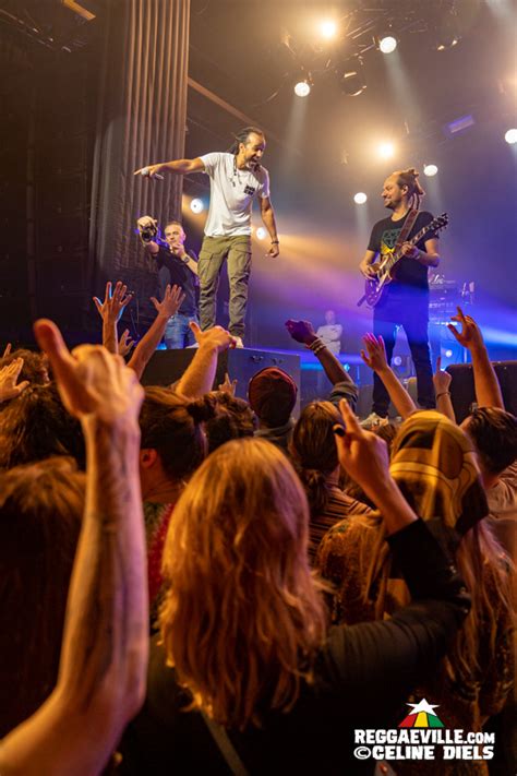 Articles Dub Inc Nice 2022 Updated