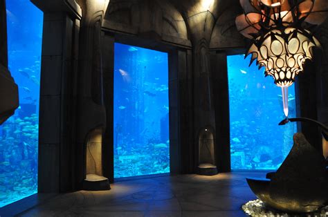 dubai atlantis hotel fish tank