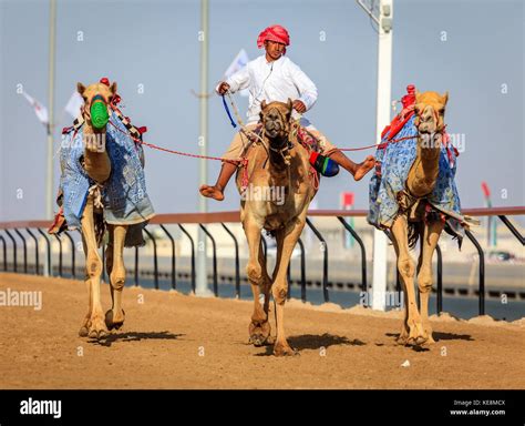 dubai camel racing club