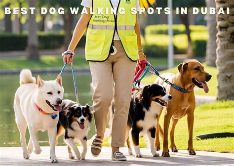 Dubai Dog Walking
