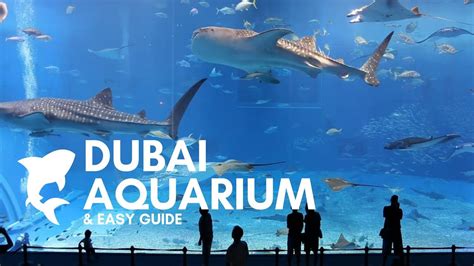 dubai mall aquarium tickets offers