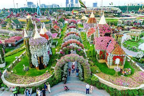 dubai miracle garden opening hours