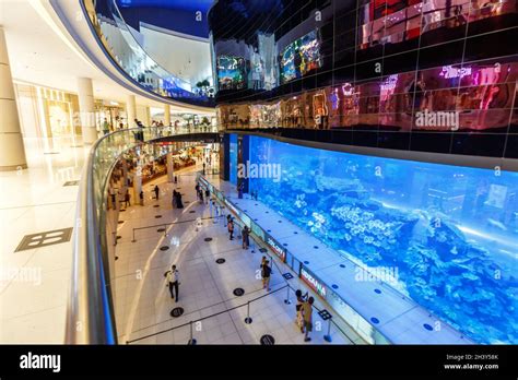 dubai shopping centre aquarium