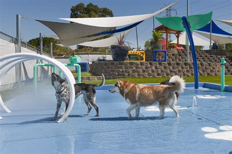 Dublin Ranch Kennels