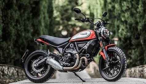 Ducati Scrambler 800 2019 New DUCATI SCRAMBLER ICON YELLOW Motorcycle In