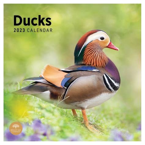 NHL Hockey Teams 2023 Calendars