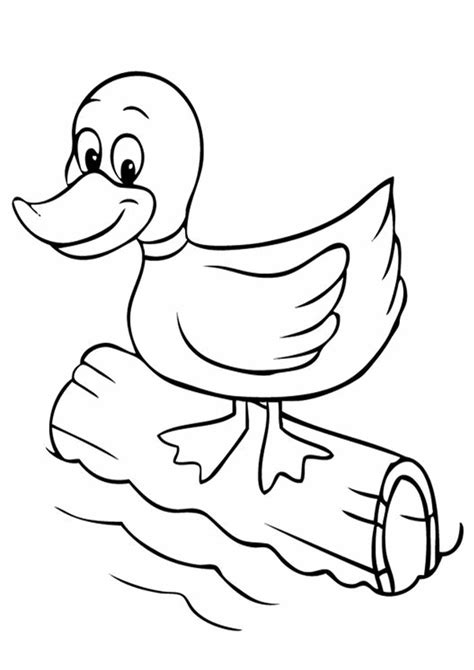 duck coloring book page