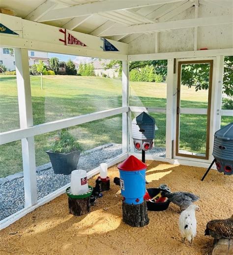 Duck Coop Ventilation