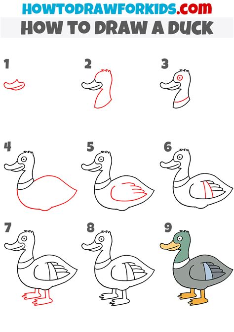 Duck Drawing Tutorial