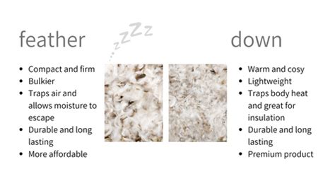 Duck Feather Vs Down Comforter
