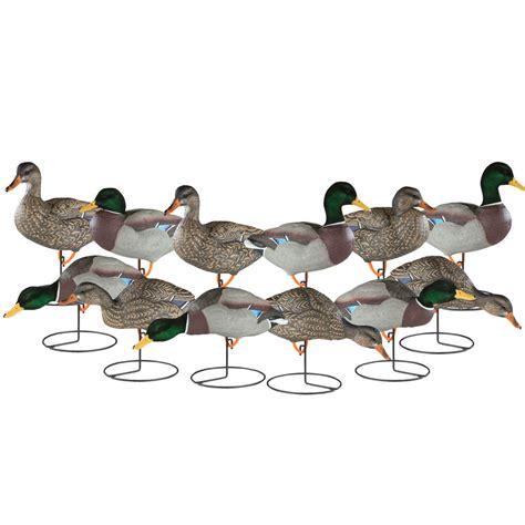 duck field decoys clearance