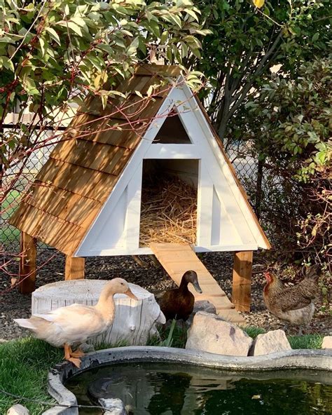 Duck House Decor