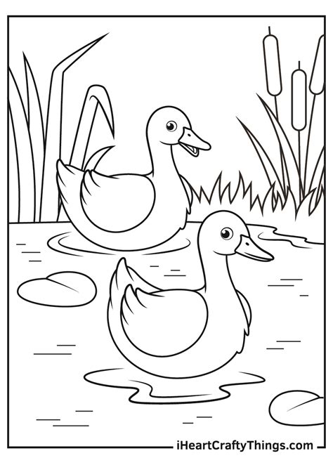 duck kids coloring sheet