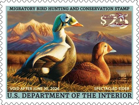 Duck Stamp Online Ky