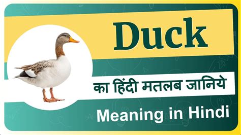 duckling meaning in hindi