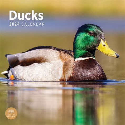 Ducks Unlimited Calendar Raffle 2024
