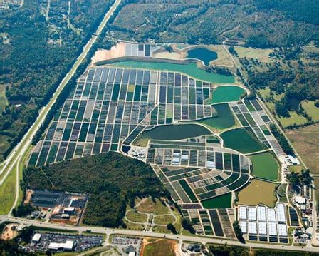 Dudley Nursery Thomson