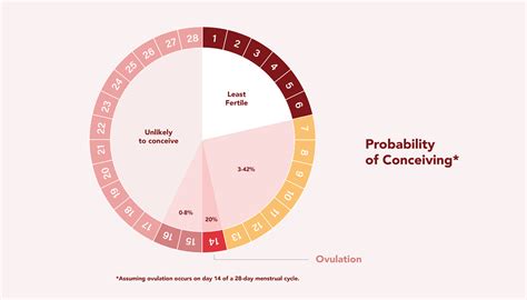 due date based on conception based on ovulation