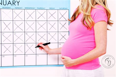 What to Do When You Miss Your Due Date: Understanding Your Due Date Options