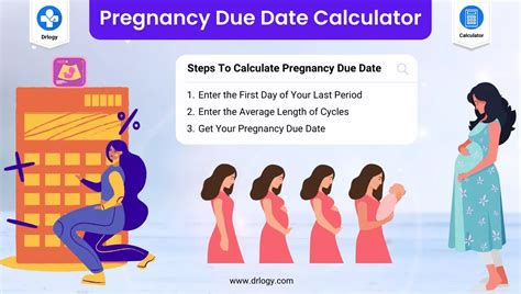 Accurately Predict Your Baby's Arrival: A Simple Due Date Estimator Guide