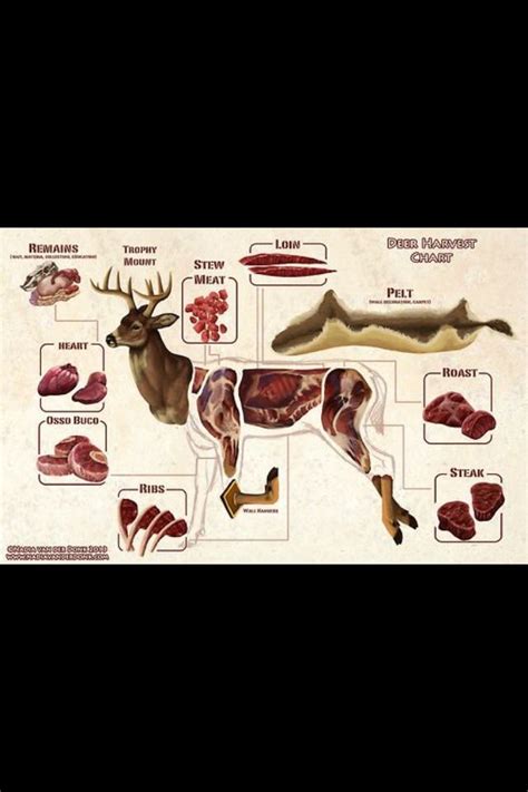 Dugdale Deer Processing