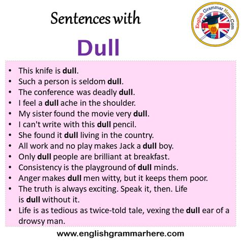 dull example sentence