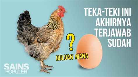 Telur atau Ayam, Mana yang Lebih Dulu?